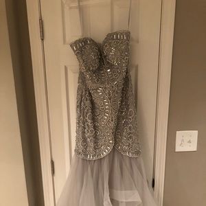 Silver/Grey Gown